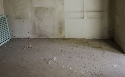 家財・生活用品の生前整理 作業後の写真